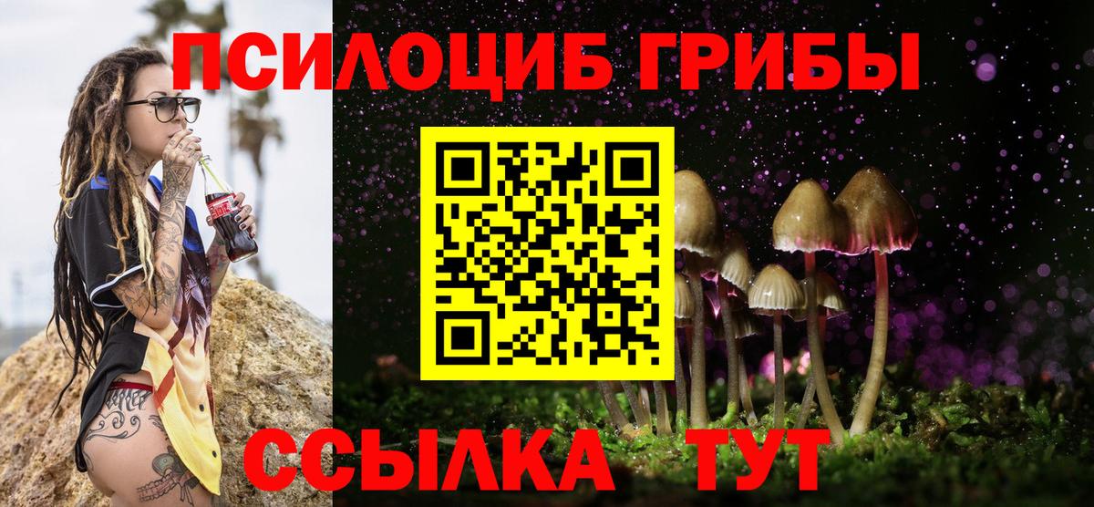 Псилоцибиновые грибы мухоморы  Вход с VPN  Анапа  Псилоцибиновые грибы мицелий 