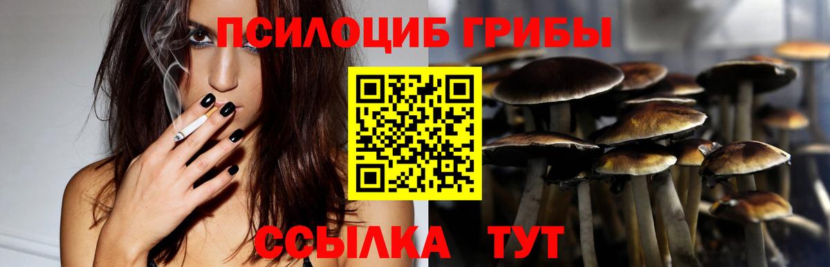 Псилоцибиновые грибы Psilocybine cubensis Анапа